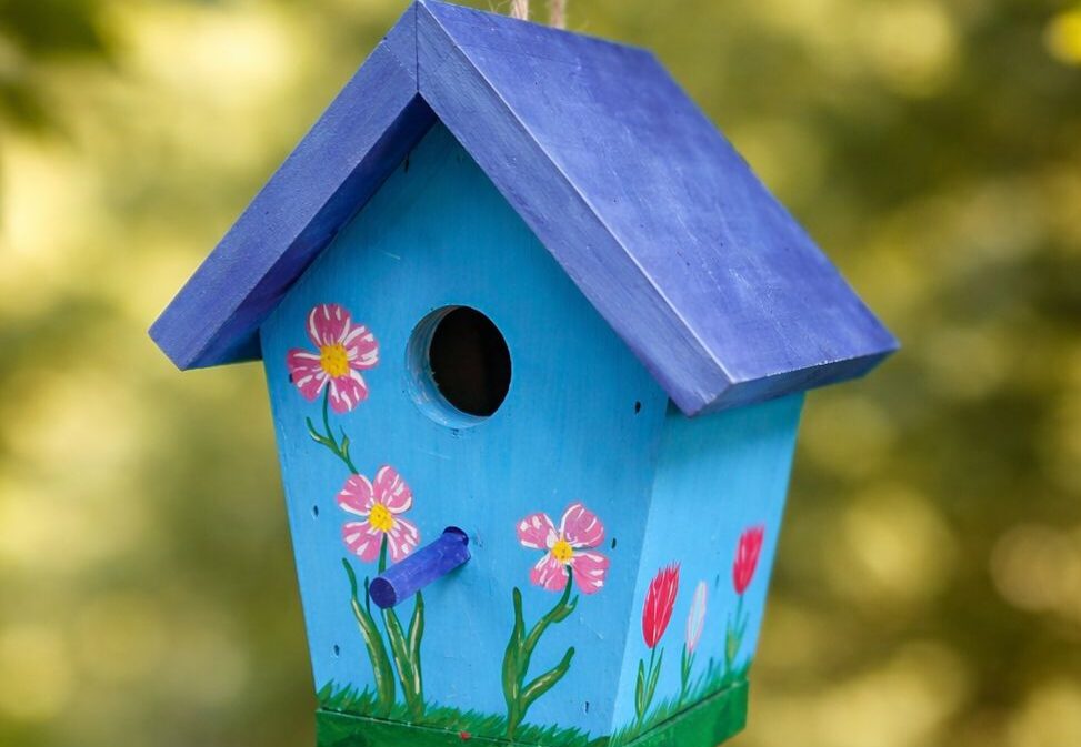 668942918 122124070167108966 8918864950813839970 n